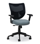 Physician Mesh Back Task Chair
