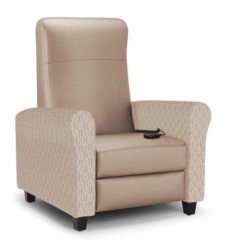 Electric Stand-Up Recliner